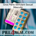 Gros Pénis Stimulant Sexuel Masculin new07